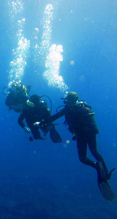padi-diving-courses-professional-level